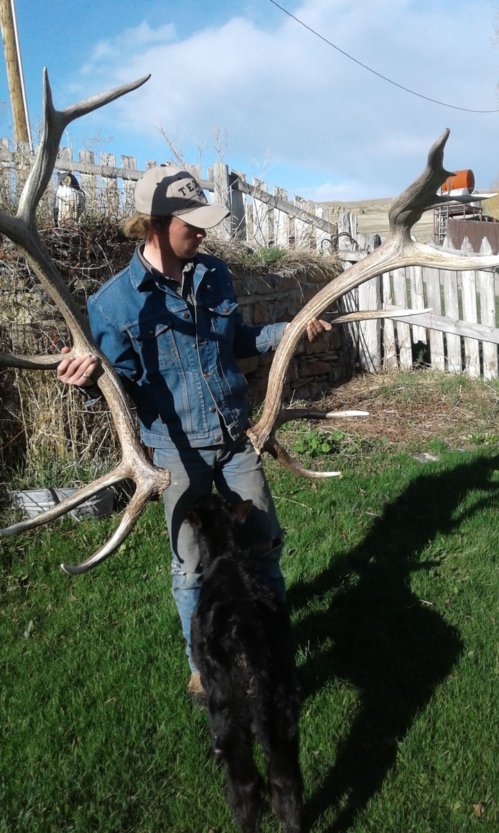 Colter Gollehon: Guide Colter Gollehon: Guide
