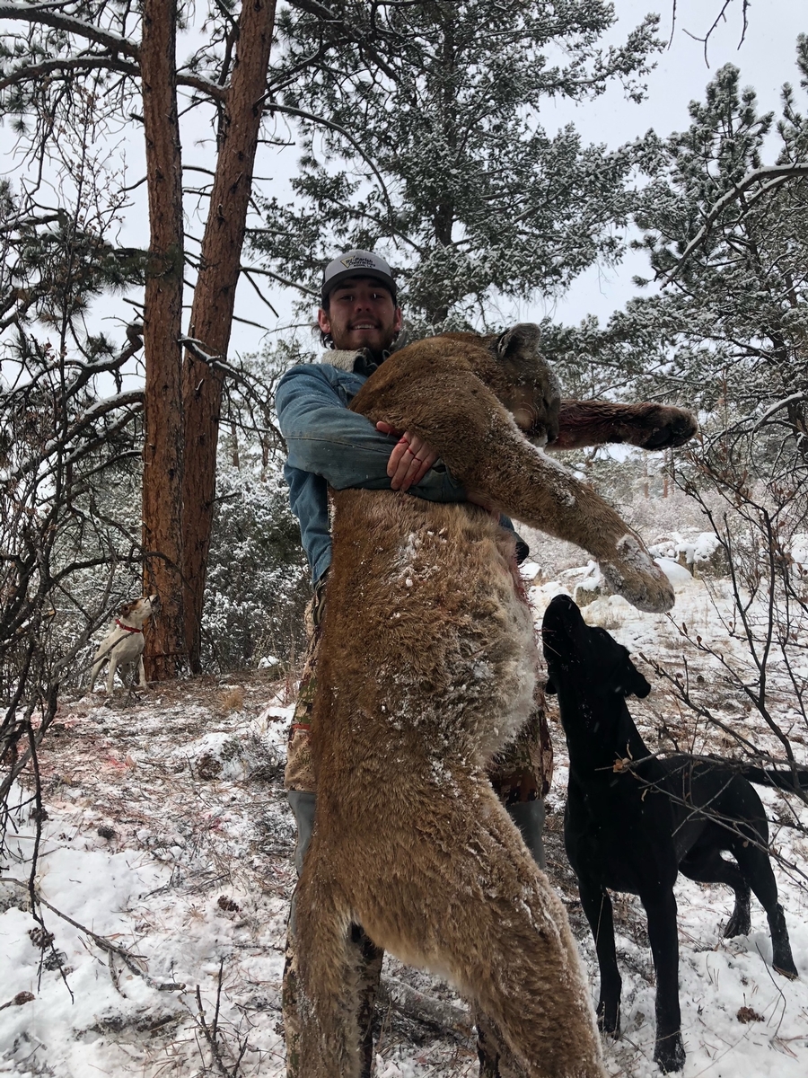 Cole Trichell: Guide Cole Trichell: Guide